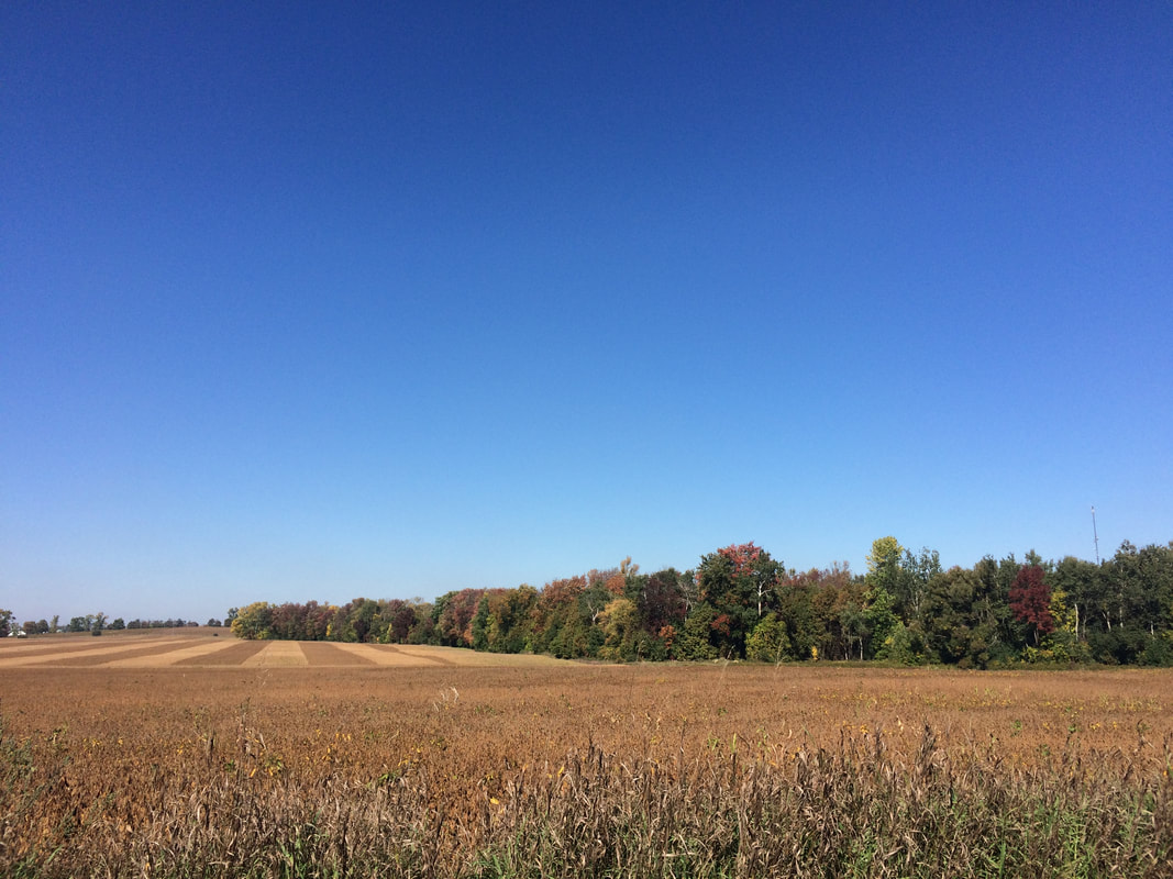 Farm fields with clear blue sky