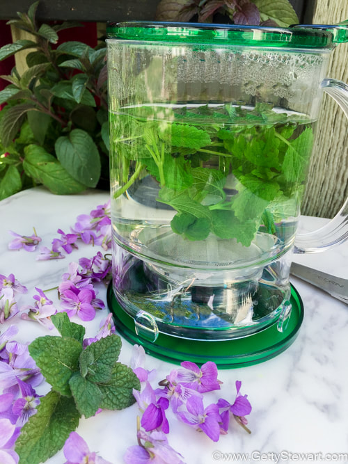 herb infused water in water dispenser with purple flowers and greenery 