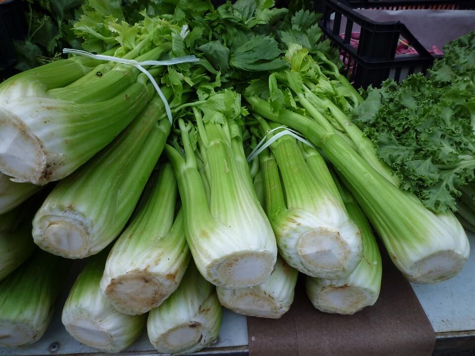 Picture of bunches of Celery at Farmer's Market